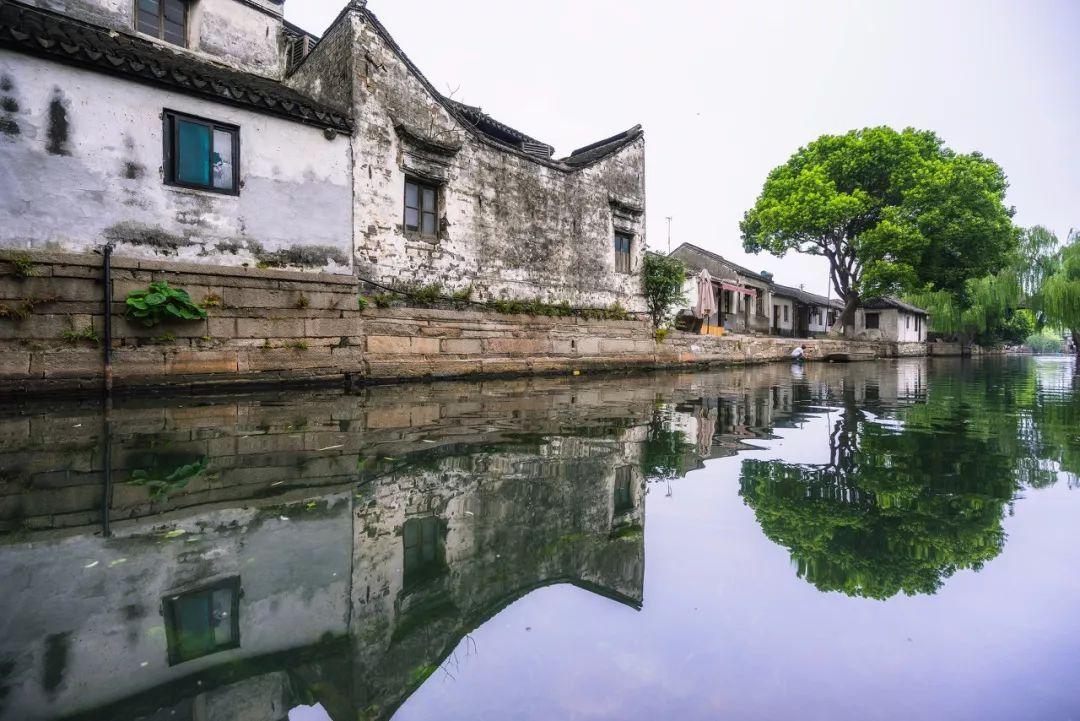 拯救铁笼中的小牛